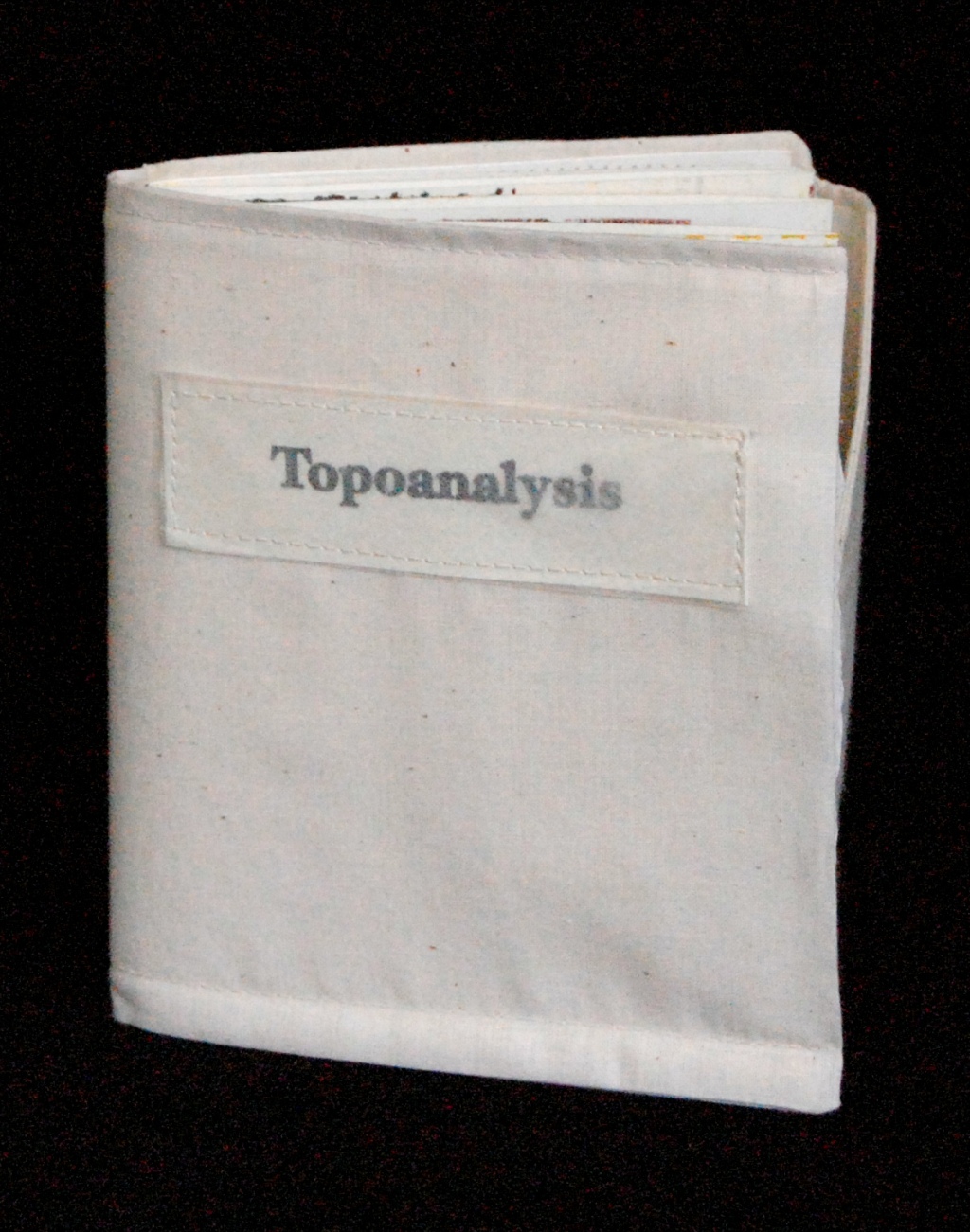 Topoanalysis